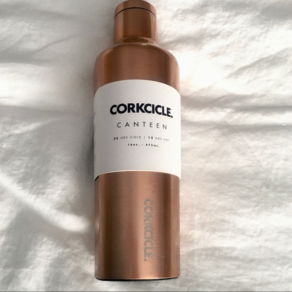 Corkcicle 16oz Metallic Canteen Water Bottle